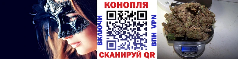 где купить наркотик  Городец  KRAKEN маркетплейс  Марихуана VHQ 